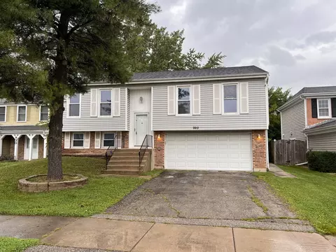 920 W Bryn Mawr Ave, Roselle, IL 60172