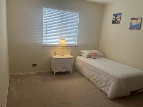 339 Mulberry Ct #D2, Bartlett, IL 60103 photo 13