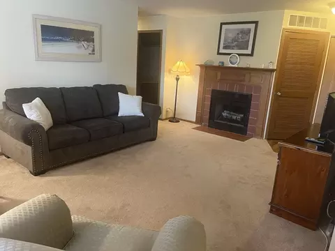 339 Mulberry Ct #D2, Bartlett, IL 60103 photo 3