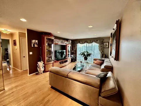 8455 W Lawrence Ave #3D, Chicago, IL 60656 photo 5