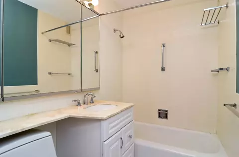 400 E Randolph St #2302, Chicago, IL 60601 photo 5