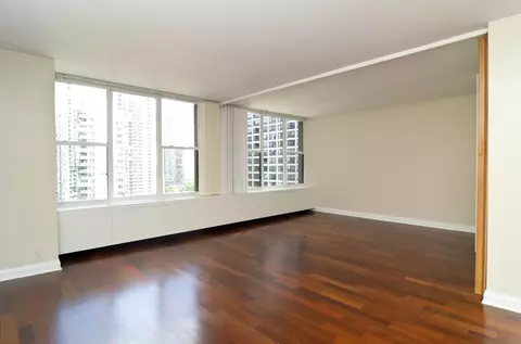 400 E Randolph St #2302, Chicago, IL 60601 photo 4