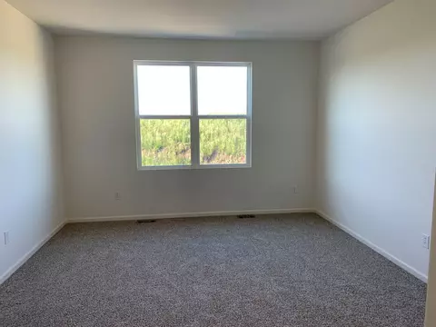 935 Eineke Blvd, Algonquin, IL 60102 photo 20