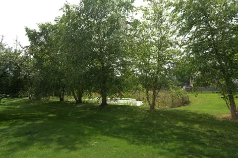 938 Willow St, Itasca, IL 60143 photo 26
