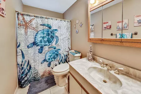 51 Willow Trl, Wheeling, IL 60090 photo 29