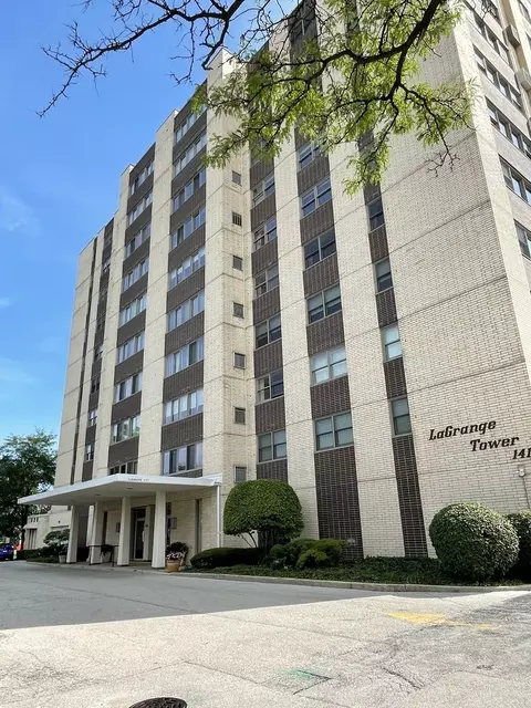 141 N La Grange Rd #701, La Grange, IL 60525