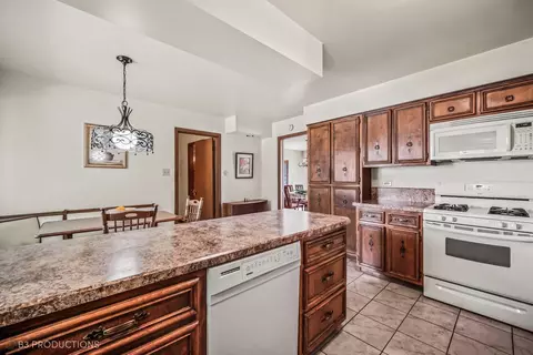 20700 Brookwood Dr, Olympia Fields, IL 60461 photo 15