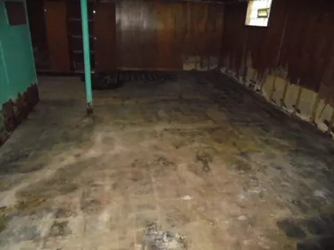 12902 S Lowe Ave, Chicago, IL 60628 photo 10