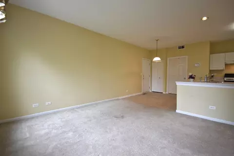 600 Howard Ave #600, East Dundee, IL 60118 photo 5