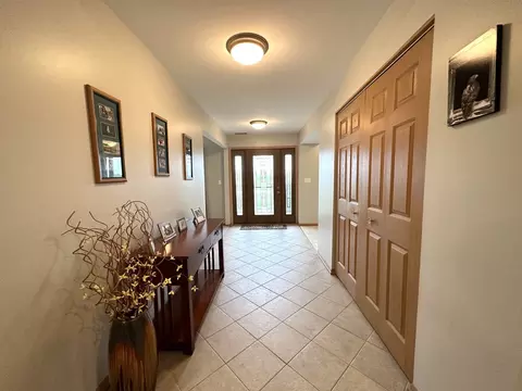 26151 S Creekside Dr, Monee, IL 60449 photo 13