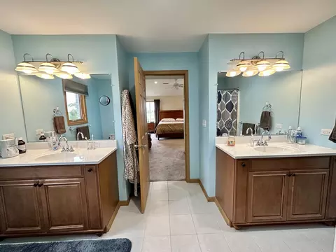 26151 S Creekside Dr, Monee, IL 60449 photo 29