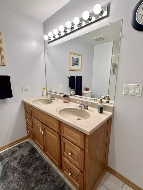 26151 S Creekside Dr, Monee, IL 60449 photo 35