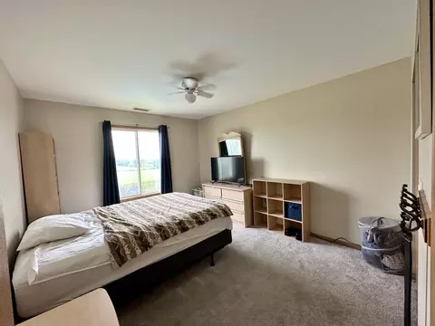 26151 S Creekside Dr, Monee, IL 60449 photo 32