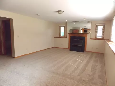 16429 Spangler Rd, Plainfield, IL 60586 photo 8