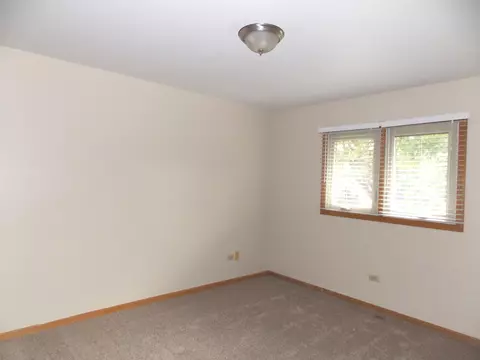 16429 Spangler Rd, Plainfield, IL 60586 photo 12