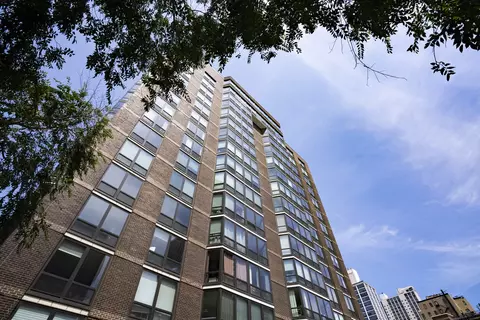 21 W Goethe St #2E, Chicago, IL 60610