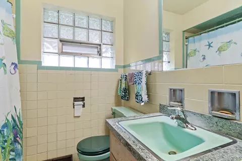 Bath - 1732 E 87th Pl, Chicago, IL 60617 photo 1 of 1