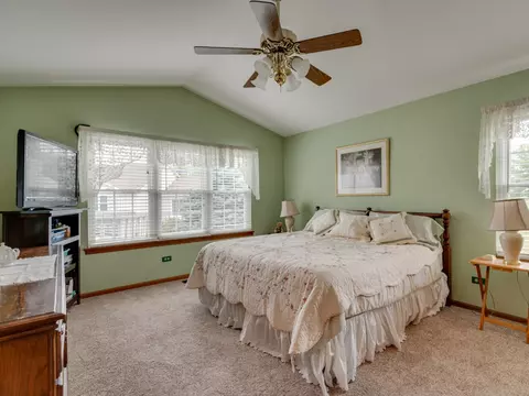 21243 Silktree Cir, Plainfield, IL 60544 photo 16