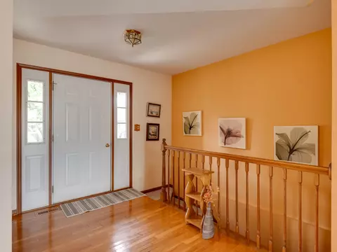 21243 Silktree Cir, Plainfield, IL 60544 photo 24
