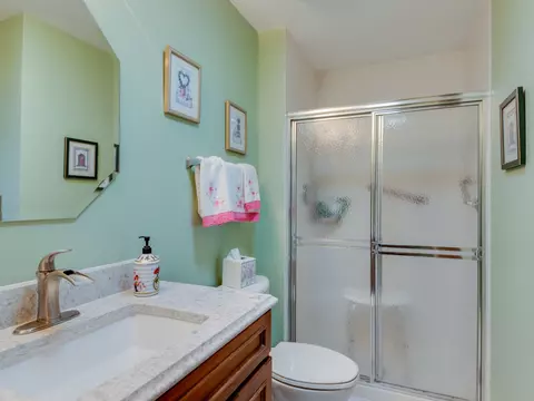 21243 Silktree Cir, Plainfield, IL 60544 photo 18