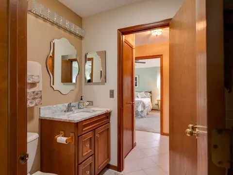 21243 Silktree Cir, Plainfield, IL 60544 photo 23
