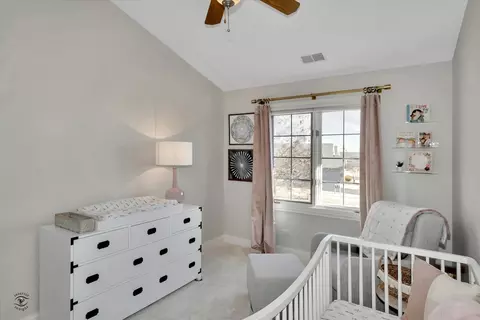 19312 Everett Ln, Mokena, IL 60448 photo 22