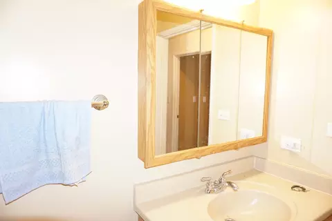 1500 Robin Cir #419, Hoffman Estates, IL 60169 photo 12