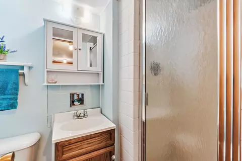 30 E Circle Dr, Saint Anne, IL 60964 photo 17