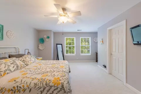 914 Case St, Naperville, IL 60563 photo 19