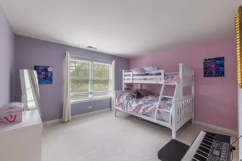 914 Case St, Naperville, IL 60563 photo 28