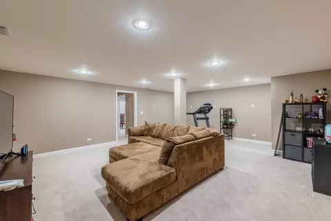 914 Case St, Naperville, IL 60563 photo 32