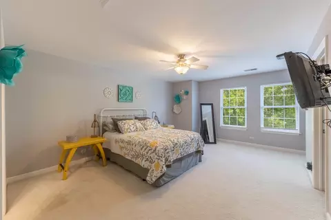 914 Case St, Naperville, IL 60563 photo 18