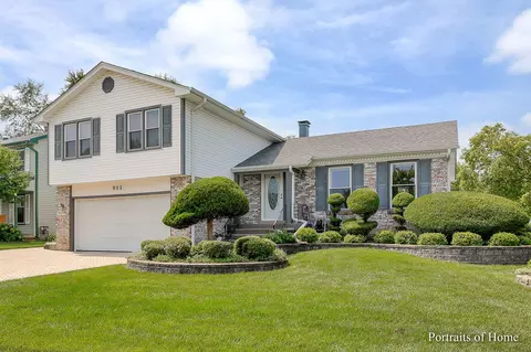 822 Pheasant Walk Dr, Schaumburg, IL 60193