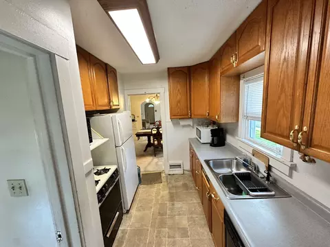 203 S Edison Ave, Elgin, IL 60123 photo 11