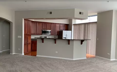104 E 11th Ave #101, Naperville, IL 60563 photo 10