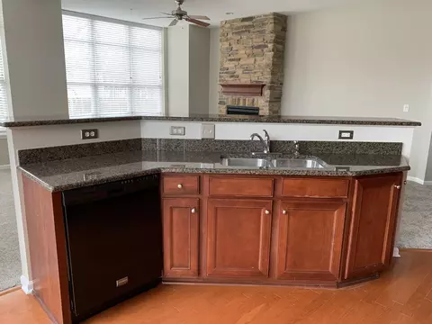 104 E 11th Ave #101, Naperville, IL 60563 photo 18