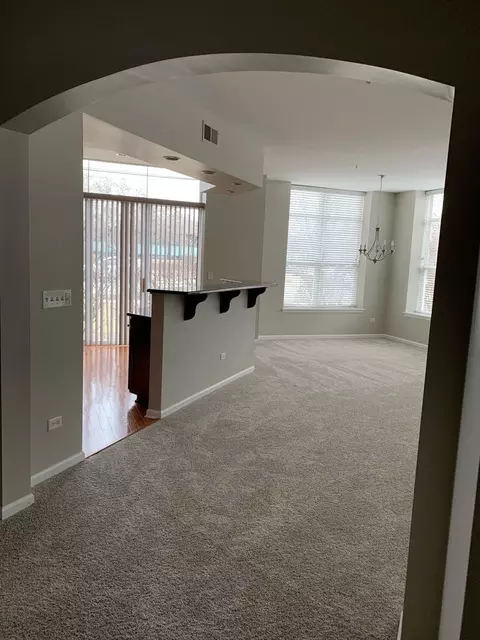 104 E 11th Ave #101, Naperville, IL 60563 photo 7