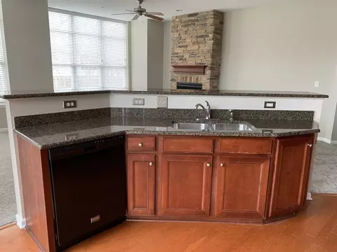 104 E 11th Ave #101, Naperville, IL 60563 photo 17