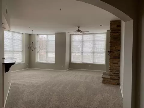 104 E 11th Ave #101, Naperville, IL 60563 photo 6