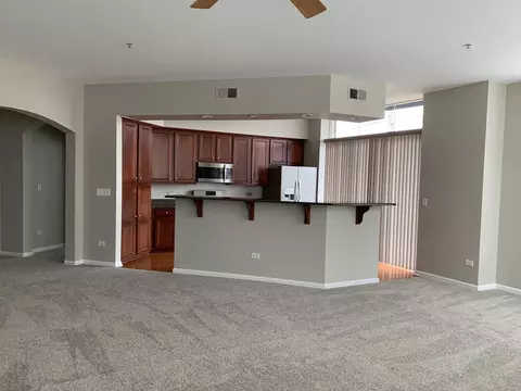 104 E 11th Ave #101, Naperville, IL 60563 photo 11