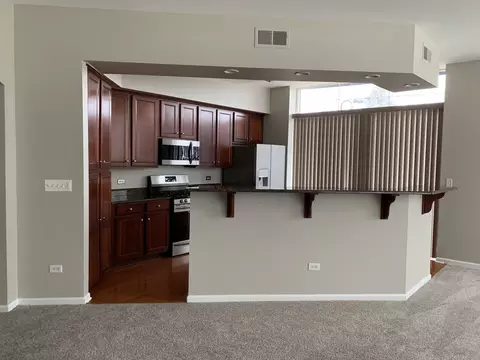 104 E 11th Ave #101, Naperville, IL 60563 photo 12