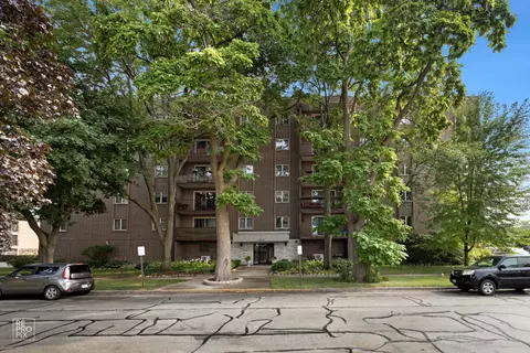 1365 Ashland Ave #306, Des Plaines, IL 60016