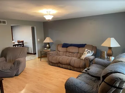 5441 W Mill St, Monee, IL 60449 photo 6