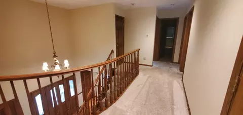 38 Danube Way, Olympia Fields, IL 60461 photo 19