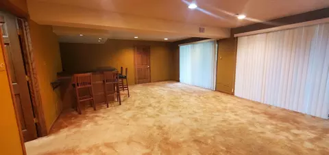 38 Danube Way, Olympia Fields, IL 60461 photo 41