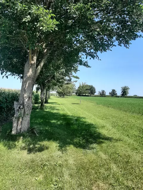 0000 N 4350th Rd, Sheridan, IL 60551