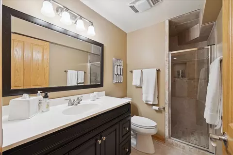 1382 Medinah Dr, Itasca, IL 60143 photo 25