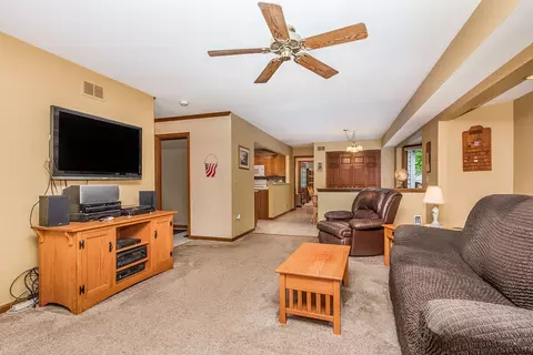 52 Chippewa Dr, Oswego, IL 60543 photo 5