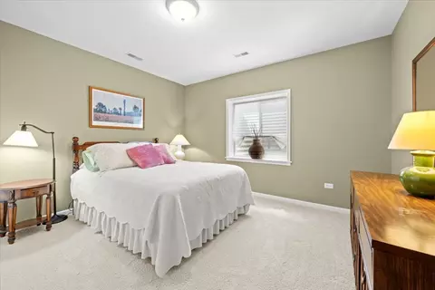 2507 Edgewater Dr, Elgin, IL 60124 photo 24