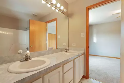 2310 Timber Trl, Plainfield, IL 60586 photo 11